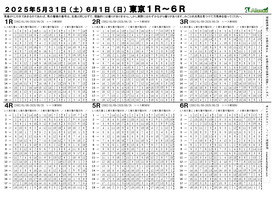 電子版