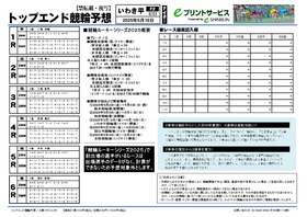 電子版